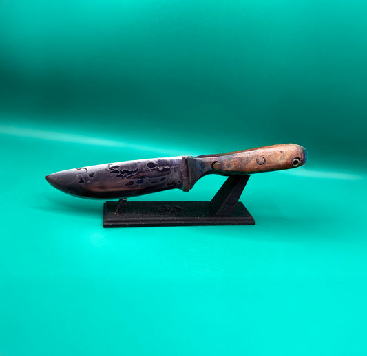 Out Of this World - Meteorite